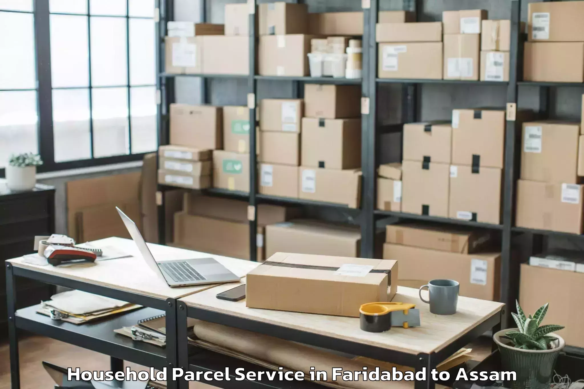 Easy Faridabad to Abhilashi University Guwahati Household Parcel Booking